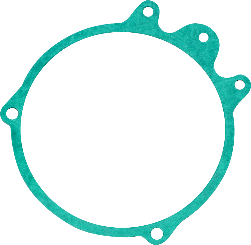 RICK'S MOTORSPORT ELECTRIC STATOR GASKETS GASKET STATOR HONDA
