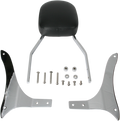 COBRA SISSY BARS SISSY BAR STD ROADLINER