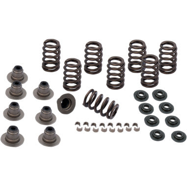 SIDEWINDER® .650" VALVE SPRING KITS FOR HARLEY-DAVIDSON