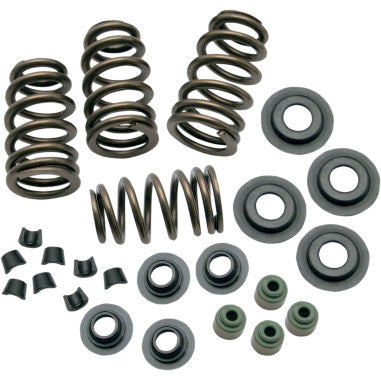 SIDEWINDER® .650" VALVE SPRING KITS FOR HARLEY-DAVIDSON