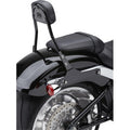 DETACHABLE BACKREST KITS FOR HARLEY-DAVIDSON