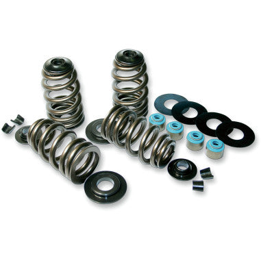 ECONO BEEHIVE® VALVE SPRING KITS FOR HARLEY-DAVIDSON