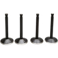 BLACK DIAMOND™ VENTILKITS FÜR HARLEY DAVIDSON