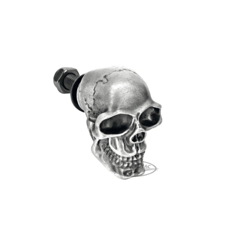 Chrome License Plate Deco Skull Ornament Bolt