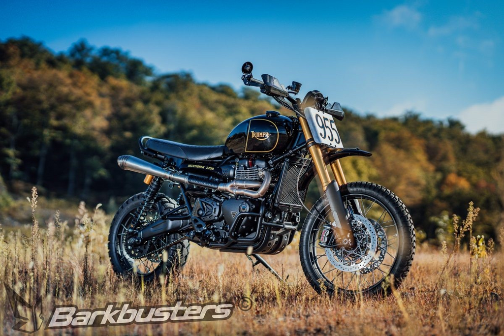 Carbon Handguards