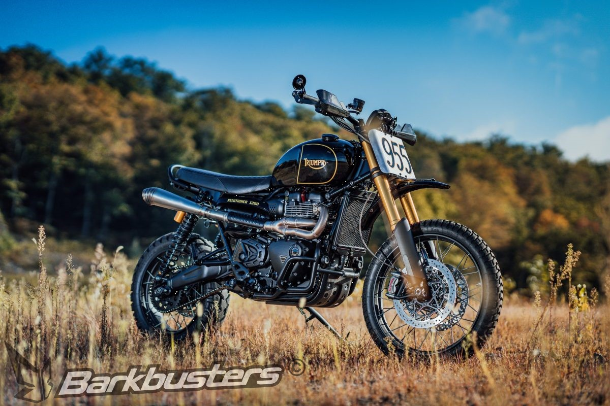 Carbon Handguards