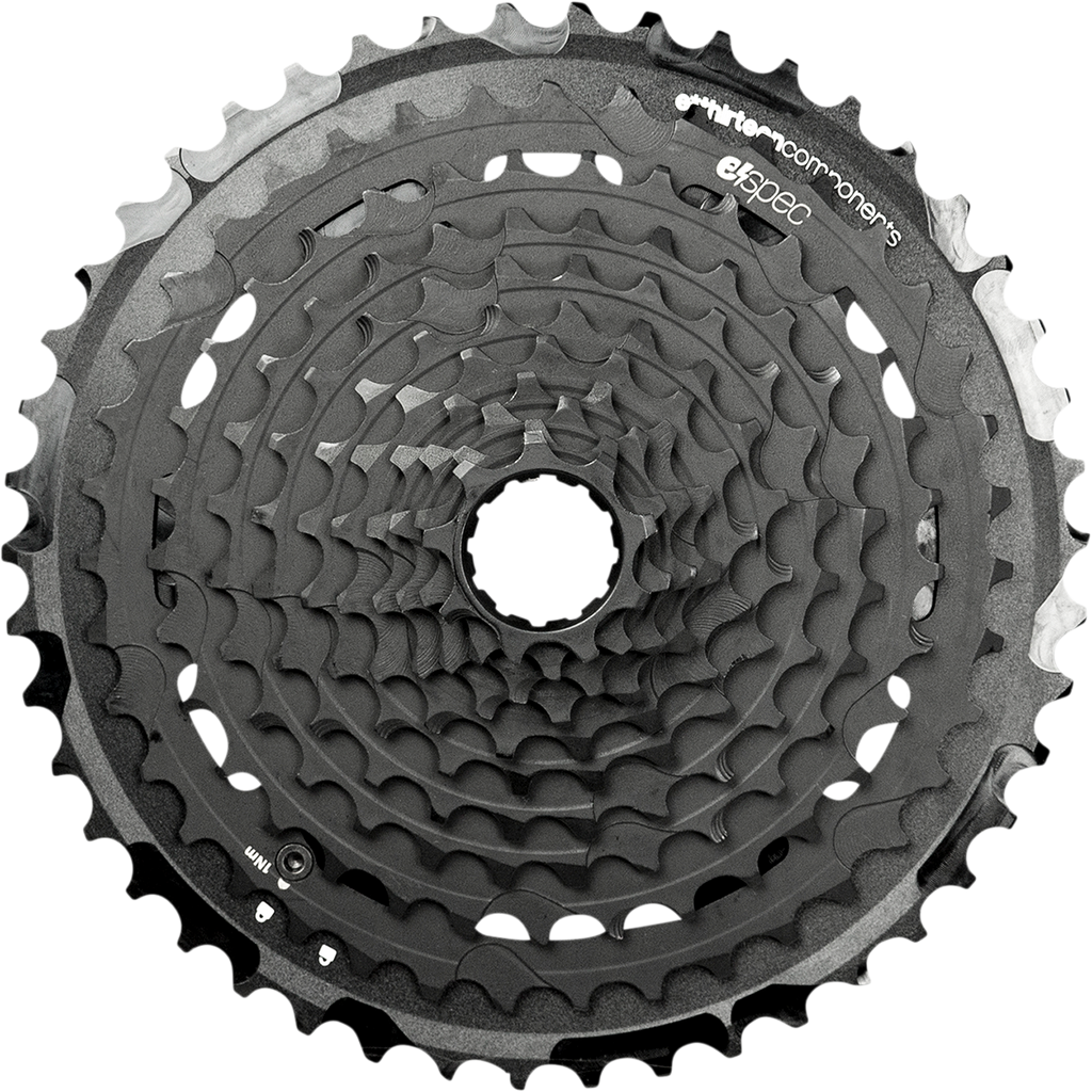 TRS Plus 11 Speed Cassette GEN 2 9-46T For E-Bike