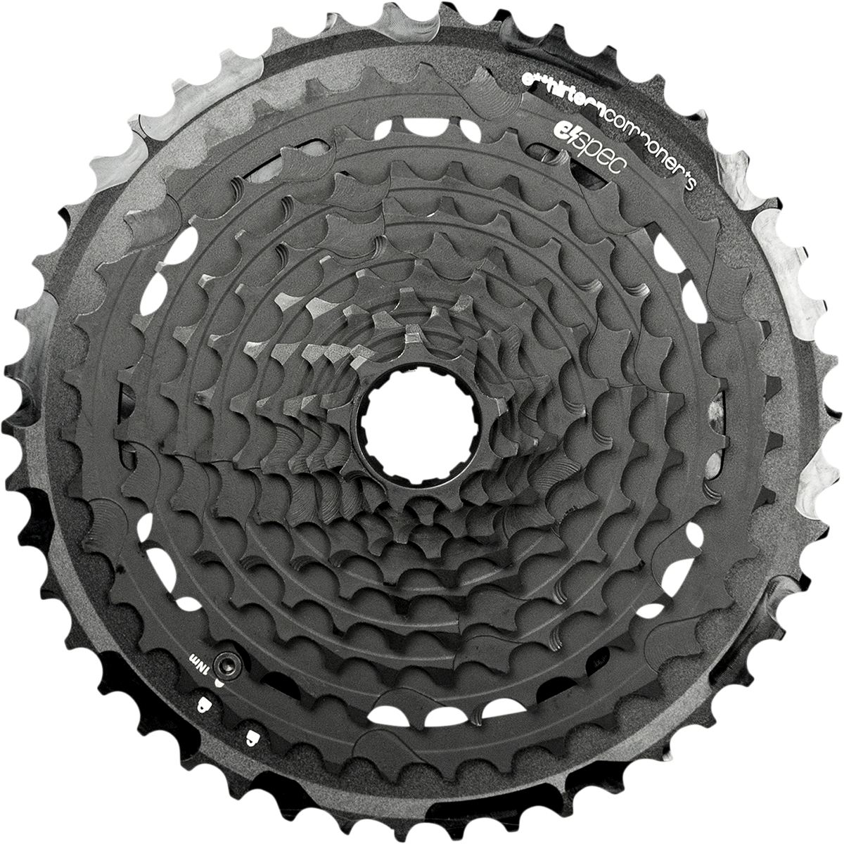 TRS Plus 11 Speed Cassette GEN 2 9-46T For E-Bike