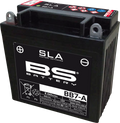 SLA Max Factory-Activated AGM Maintenance-Free Batteries