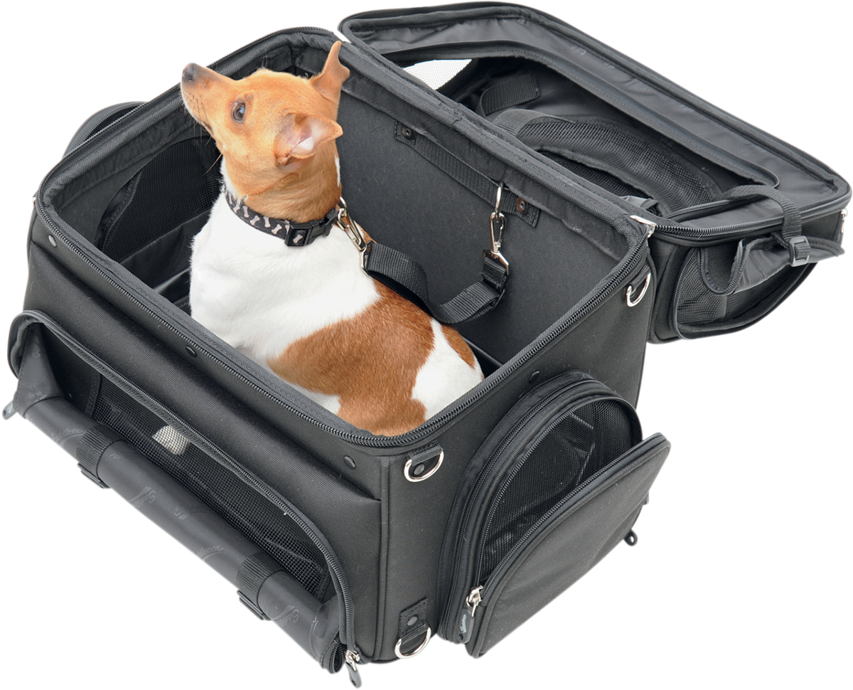 Harley davidson pet sales carrier