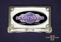 LED WHISKERS AMBER W/HORI CLR For Harley-Davidson