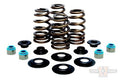 BEEHIVE VALVE SPRING KIT 0.660" LIFT For Harley-Davidson