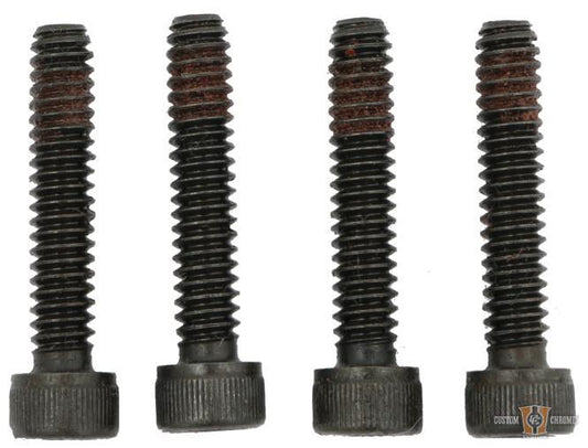 Stator Mounting Bolts For Harley-Davidson