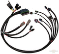 EFI Harness OEM, Complete For Harley-Davidson