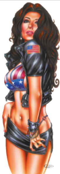 MISS USA  3"X10" For Harley-Davidson