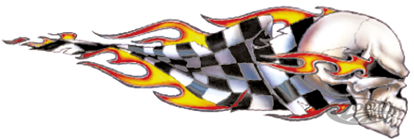 Checkered skull right decal 2.6"x7.53" For Harley-Davidson