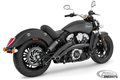Freedom radical radius Scout14UP Blk/Blk For Harley-Davidson