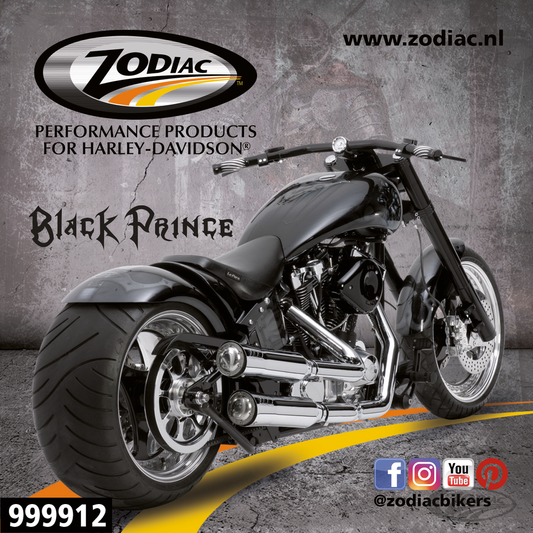 10Pck Zodiac Black Prince sticker For Harley-Davidson