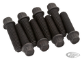 Black 12-Pnt screws 1/4-24 set/8 For Harley-Davidson