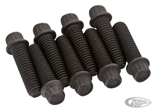 Black 12-Pnt screws 1/4-24 set/8 For Harley-Davidson