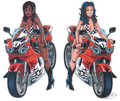 Sport bike girls 2.125"x3.875" decal For Harley-Davidson